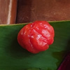 名前が入ります。