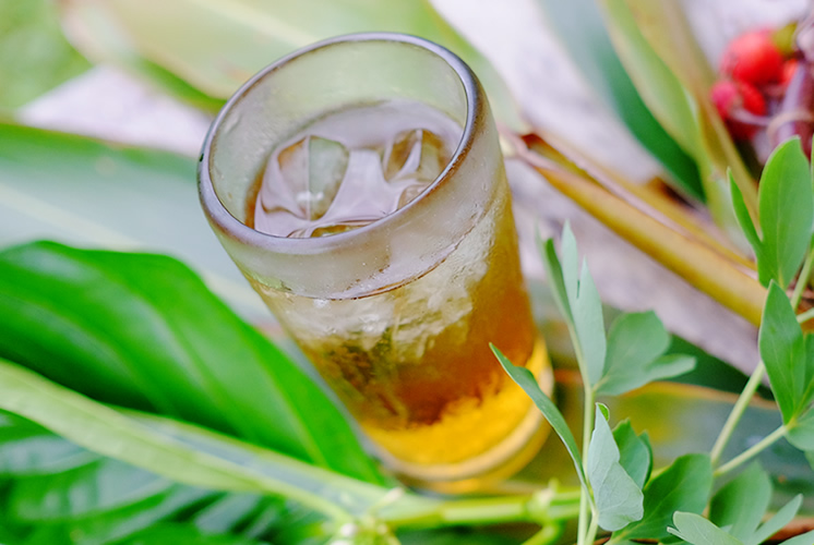 琉球紅茶カミングスーン